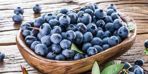 The nutritional value and efficacy of blueberries